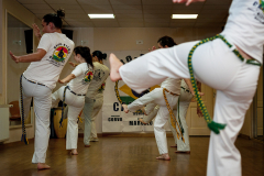 budapest-capoeira-rugas