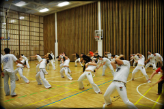 capoeira-workshop-budapesten