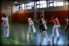 capoeira-workshop-edzes