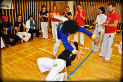 capoeira-workshop-roda-3